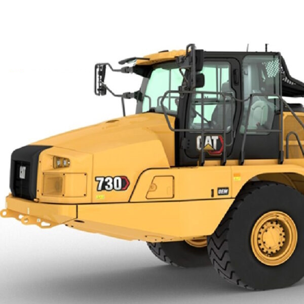 cat-1-600x600